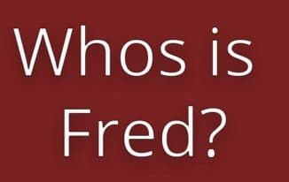 Google Update FRED