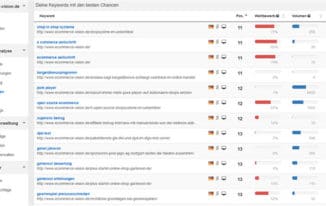 Keyword-Chancen