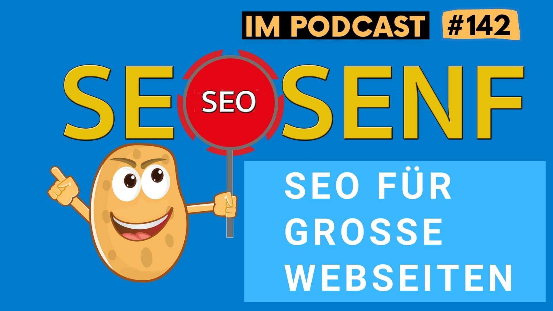 SEO Podcast - SEO für große Webseiten