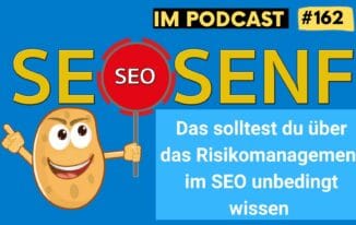 Risikomanagement im SEO