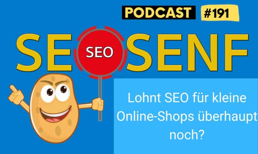 Lohnt SEO für kleine Online-Shops überhaupt noch? #191